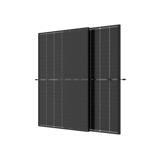 Trina 455W, Glas-Glas, Full Black, Bifacial (NEG9R.28)